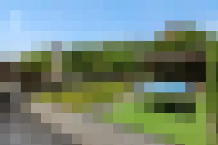 Mergelven 54 Veghel thumbnail 35