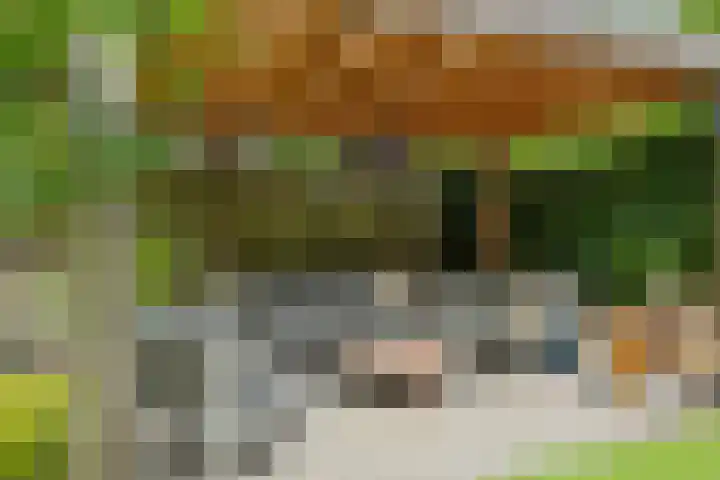 Mergelven 54 Veghel thumbnail 37