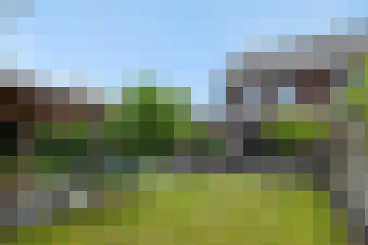 Mergelven 54 Veghel thumbnail 38