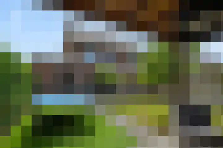 Mergelven 54 Veghel thumbnail 39