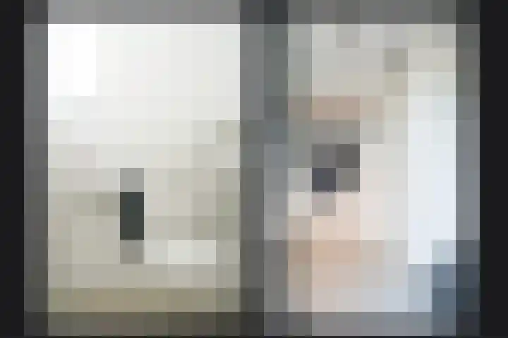 Mergelven 59 Veghel thumbnail 15