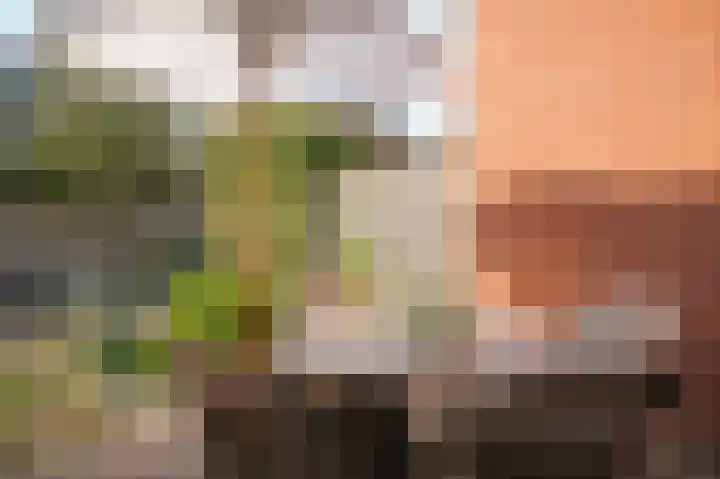 Mergelven 59 Veghel thumbnail 28