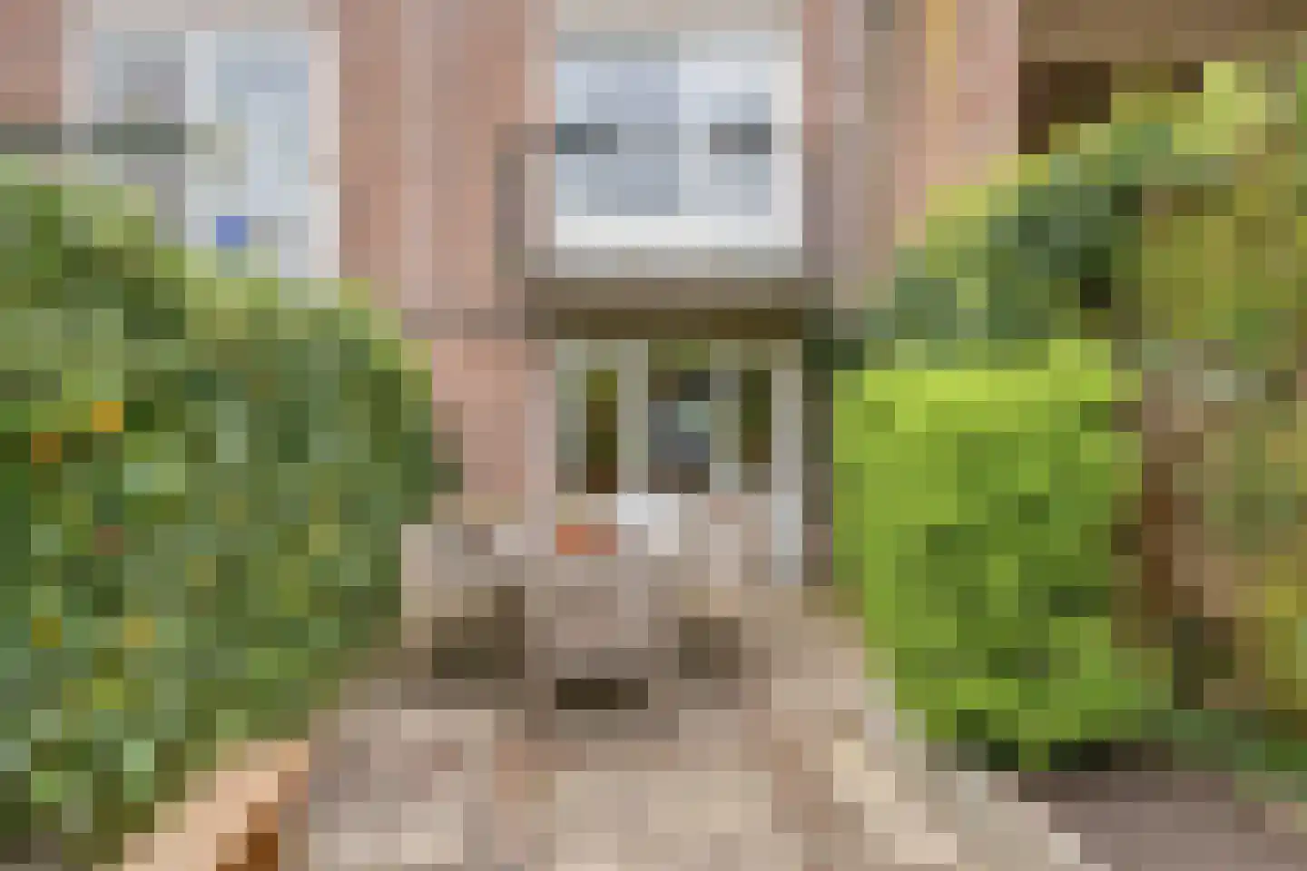 Mergelweg 16 B Maastricht thumbnail 30