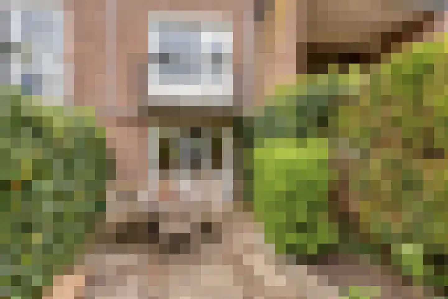 Mergelweg 16 B Maastricht thumbnail 32