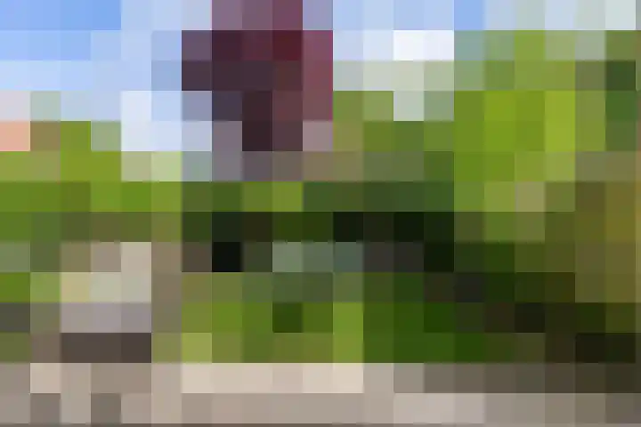 Mergelweg 227 Maastricht thumbnail 19