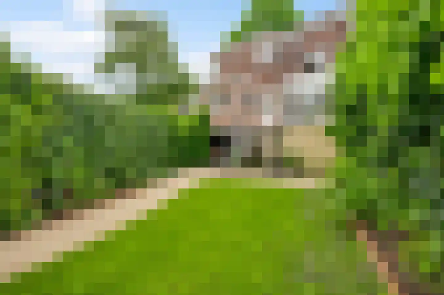 Mergelweg 30 Maastricht thumbnail 22