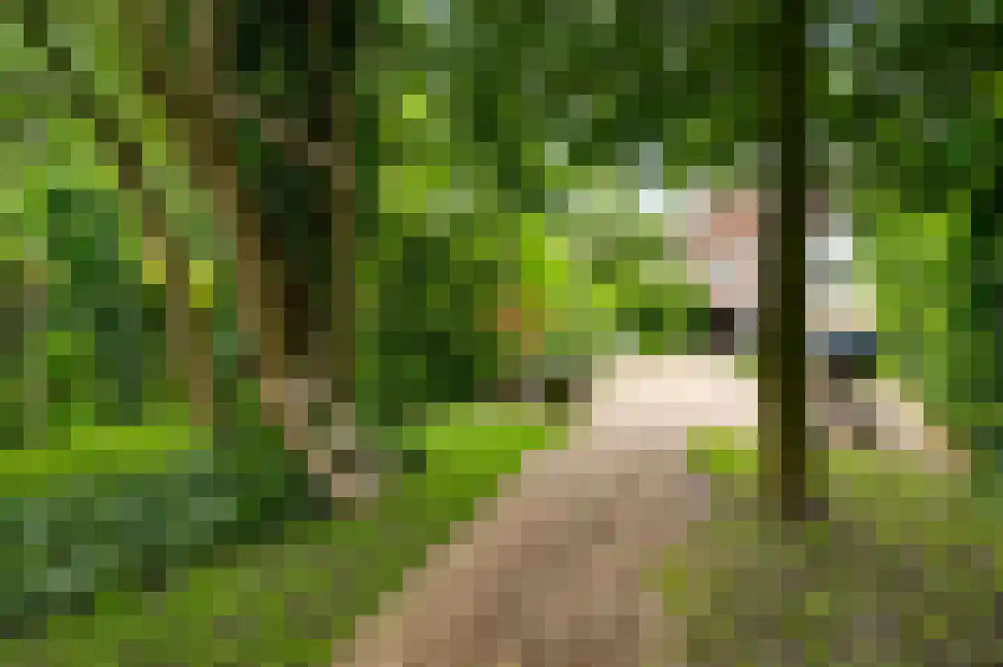 Mergelweg 30 Maastricht thumbnail 23