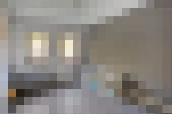 Mergen 2 Mill thumbnail 21