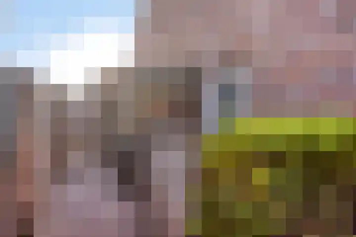 Mergen 2 Mill thumbnail 41