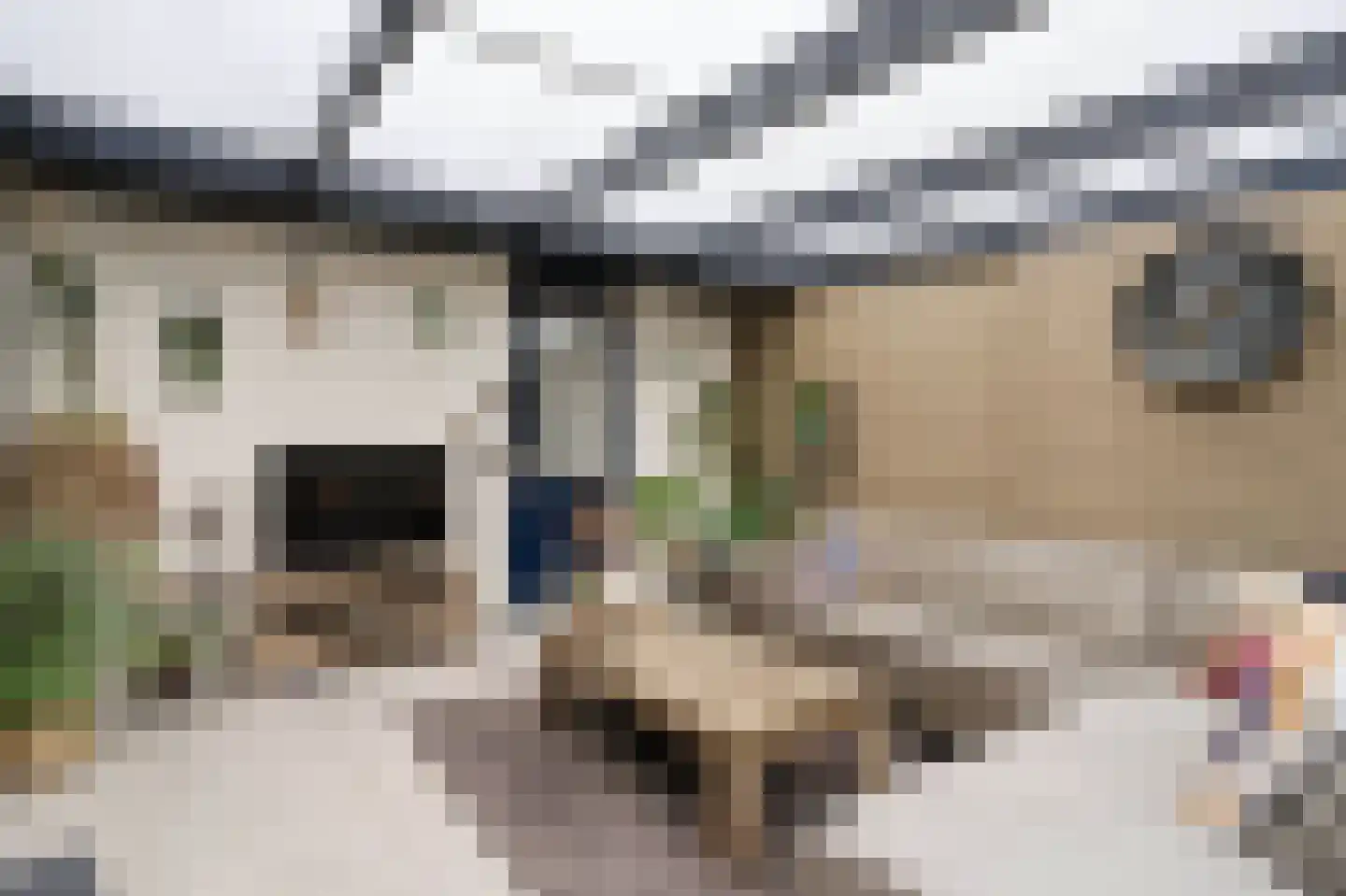 Mergen 20 Mill thumbnail 12