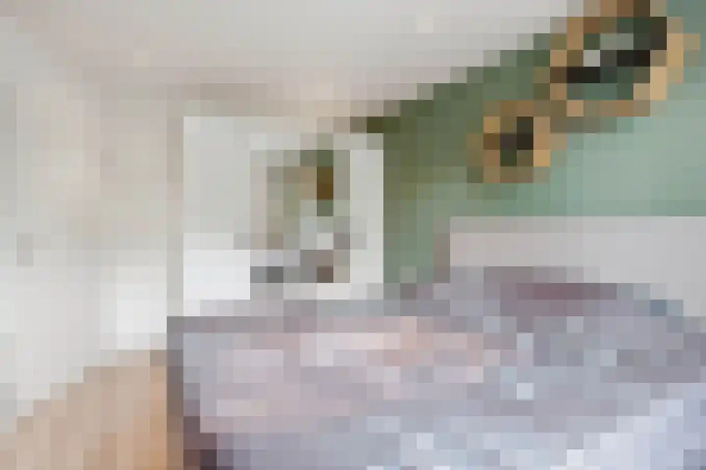 Mergen 20 Mill thumbnail 19