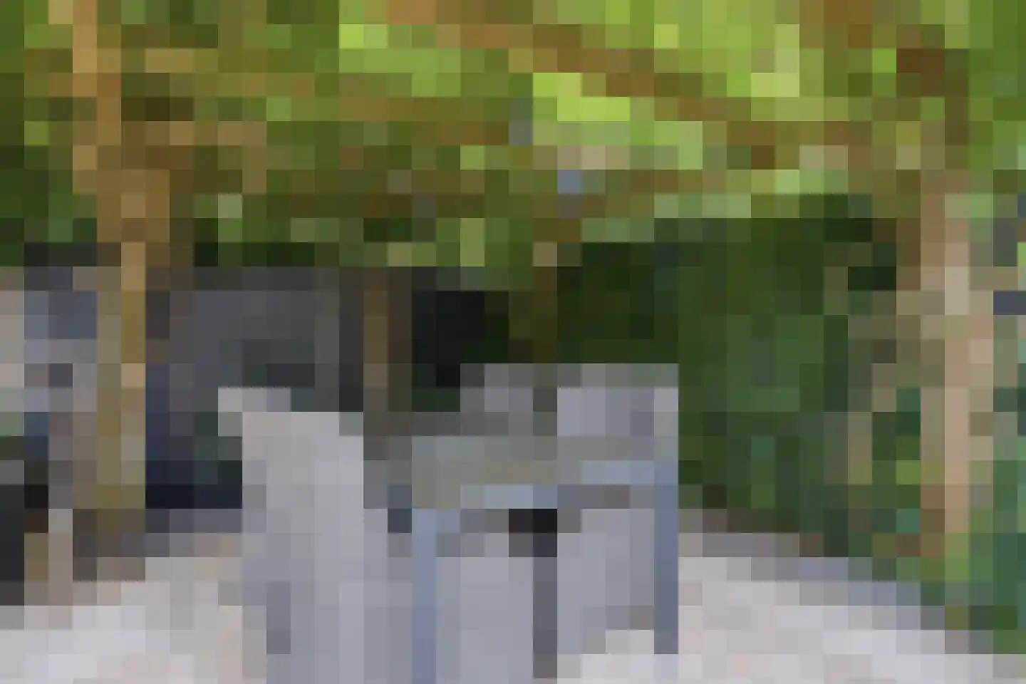 Mergen 20 Mill thumbnail 31