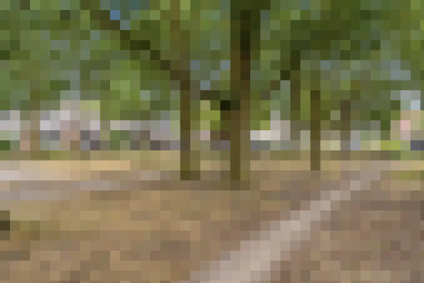 Mergen 20 Mill thumbnail 35