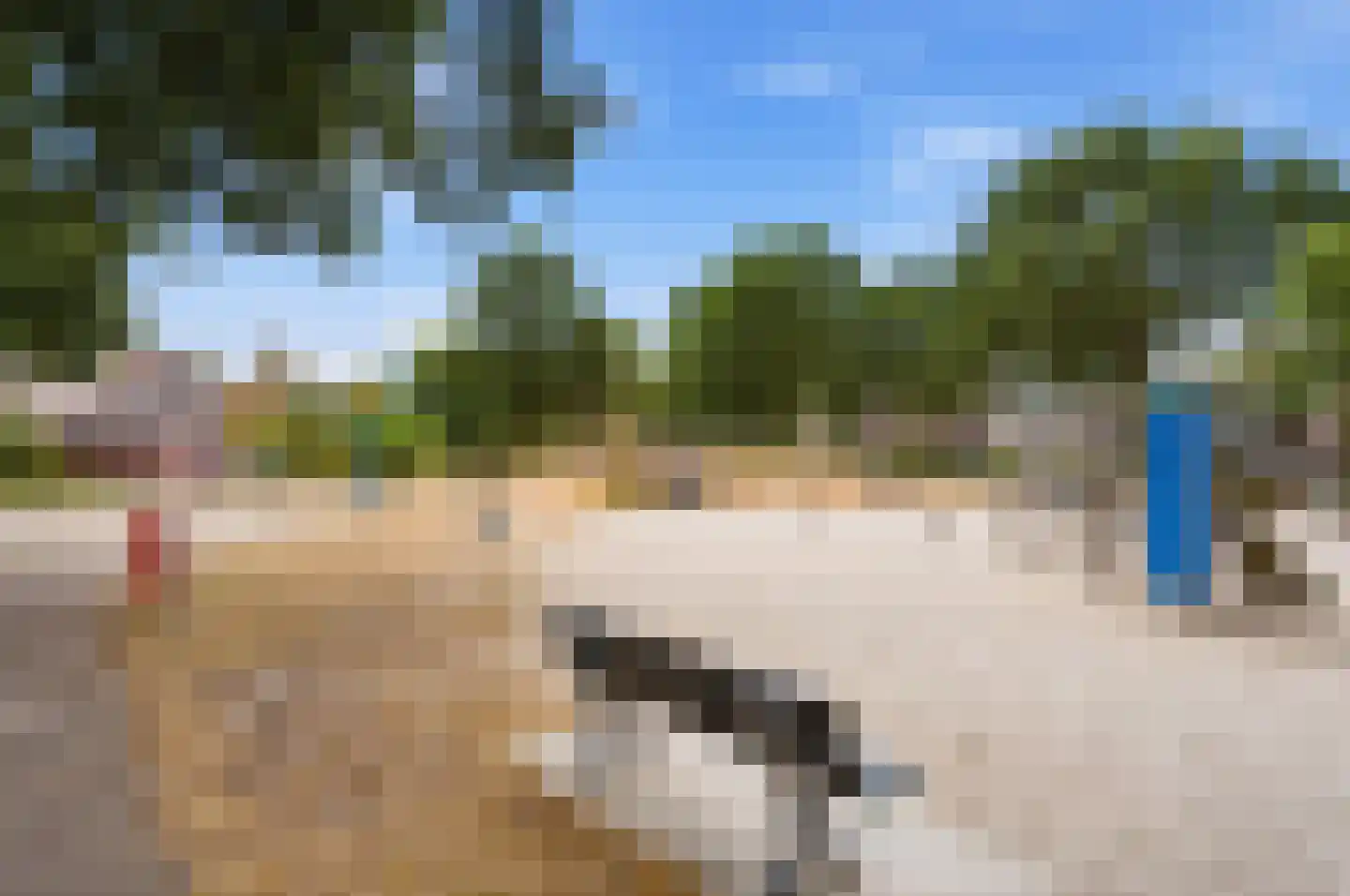 Mergen 20 Mill thumbnail 36