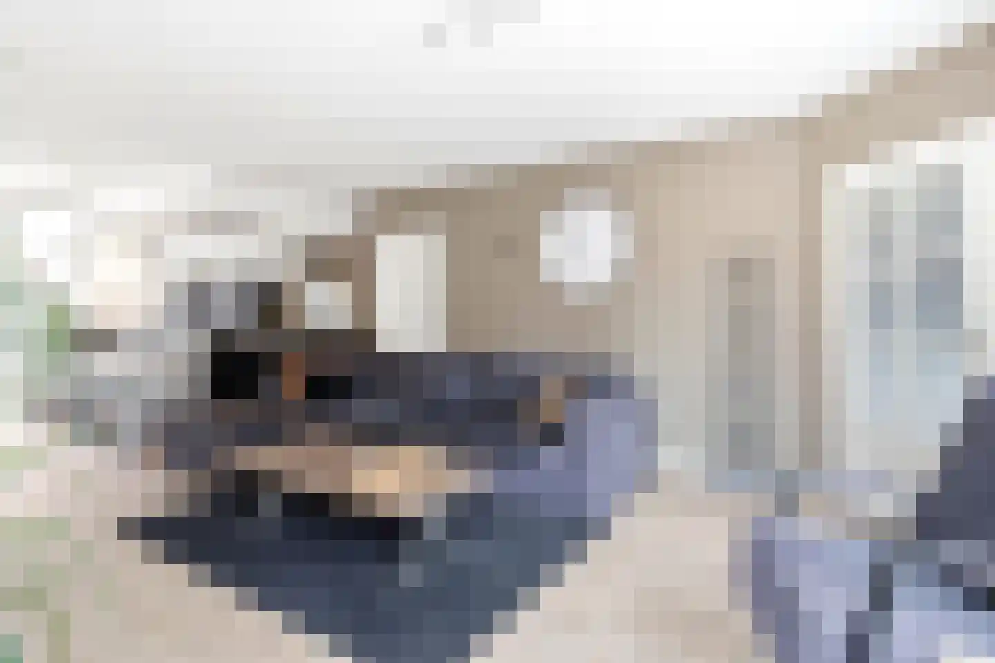 Mergen 20 Mill thumbnail 5
