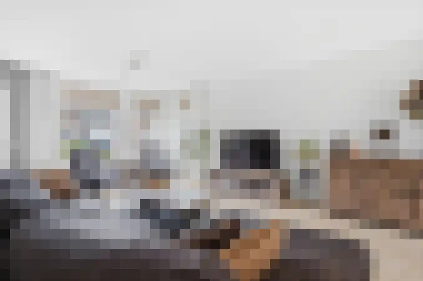 Mergen 20 Mill thumbnail 7