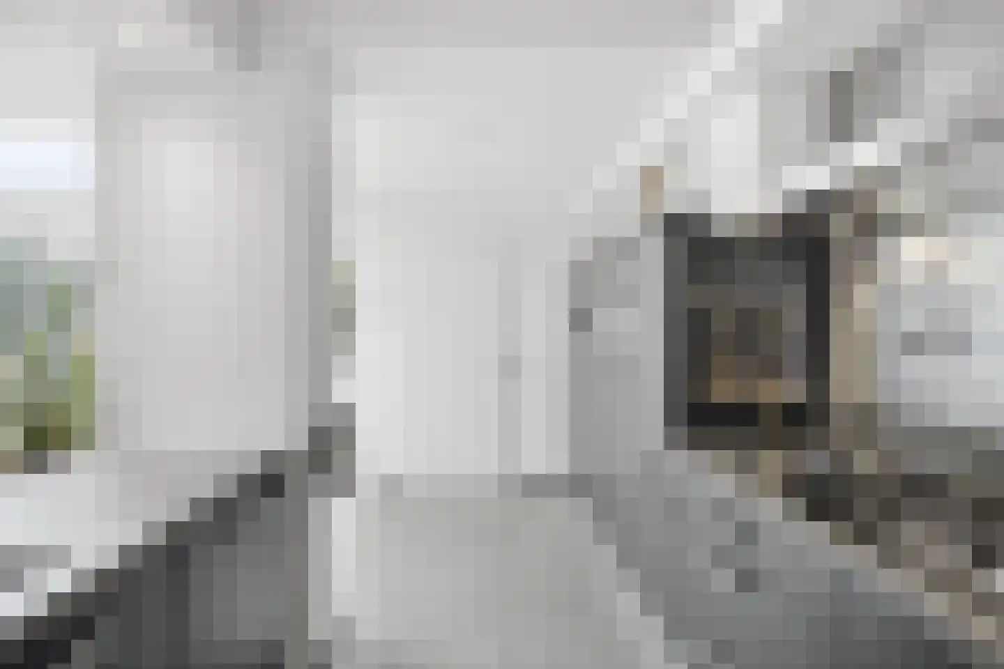 Mergen 20 Mill thumbnail 8