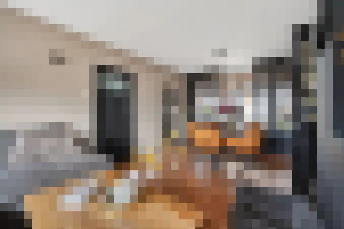 Meridiaan 116 Klazienaveen thumbnail 7