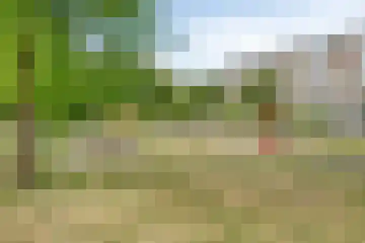 Meridiaan 16 B Amersfoort thumbnail 22