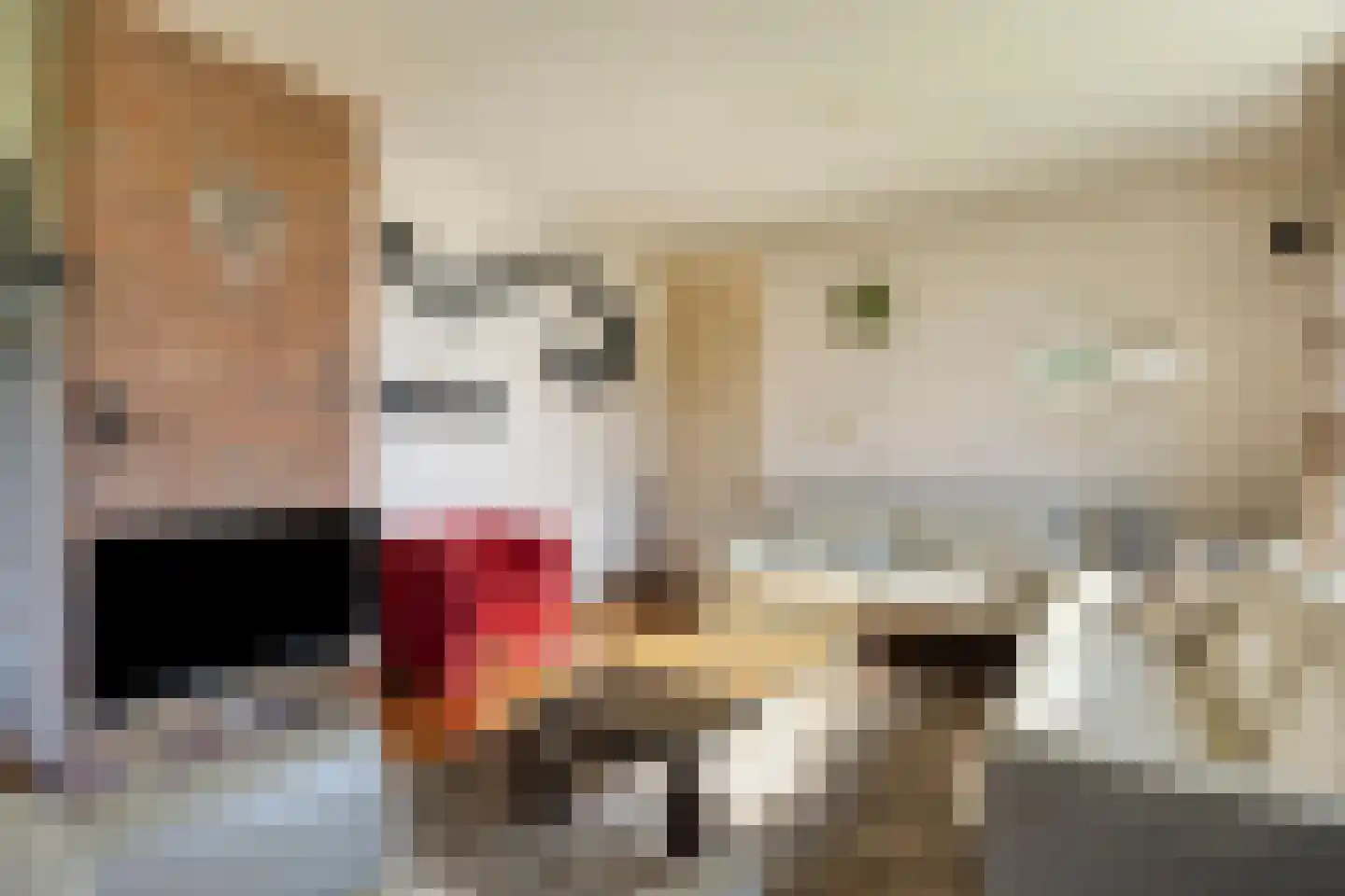Meridiaan 19 Klazienaveen thumbnail 5