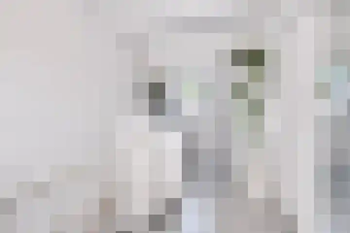 Merijntje Gijzenburg 17 Capelle aan den IJssel thumbnail 31