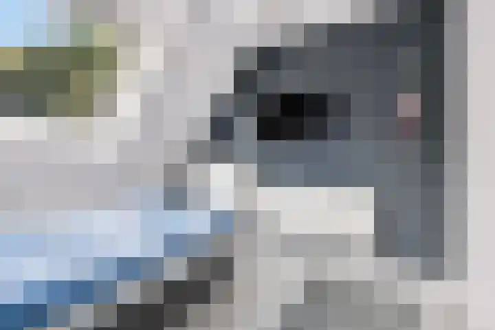 Merijntje Gijzenburg 17 Capelle aan den IJssel thumbnail 33