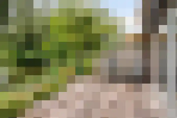 Merijntje Gijzenburg 18 Capelle aan den IJssel thumbnail 16