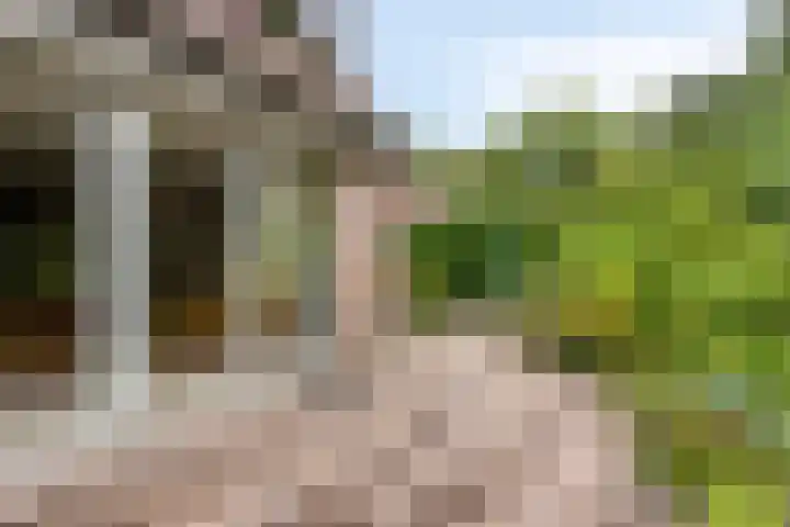 Merijntje Gijzenburg 18 Capelle aan den IJssel thumbnail 17