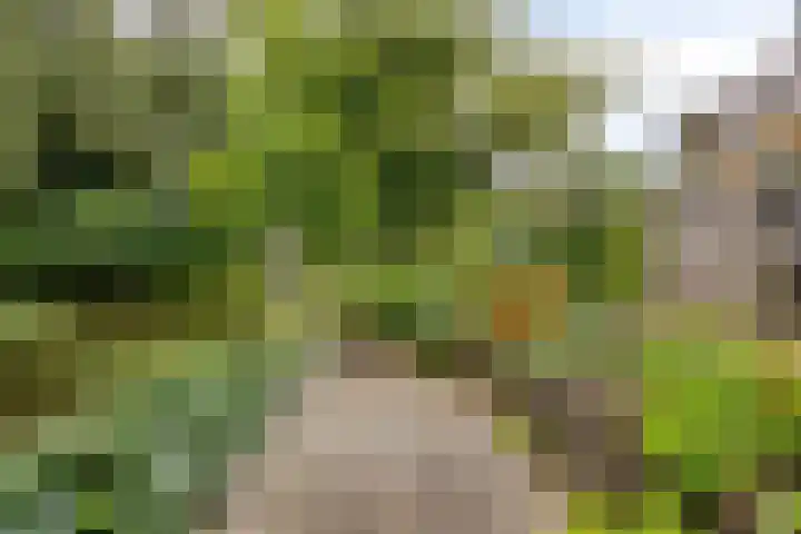Merijntje Gijzenburg 18 Capelle aan den IJssel thumbnail 18