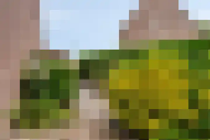 Merijntje Gijzenburg 18 Capelle aan den IJssel thumbnail 20