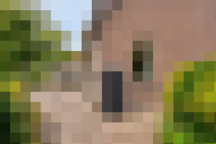 Merijntje Gijzenburg 18 Capelle aan den IJssel thumbnail 21