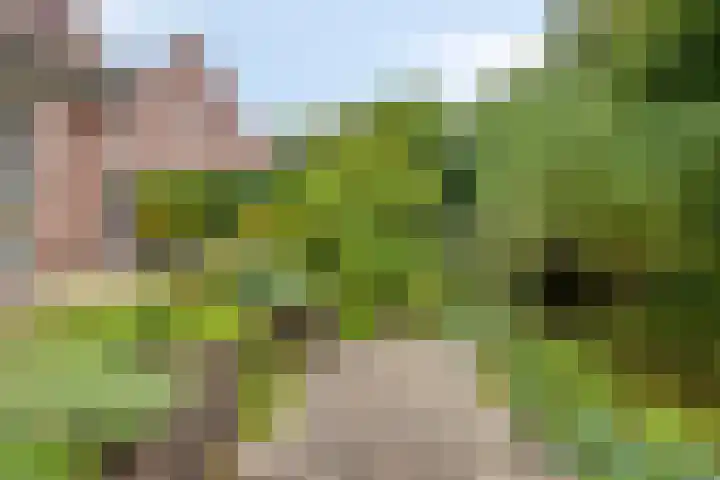 Merijntje Gijzenburg 18 Capelle aan den IJssel thumbnail 4