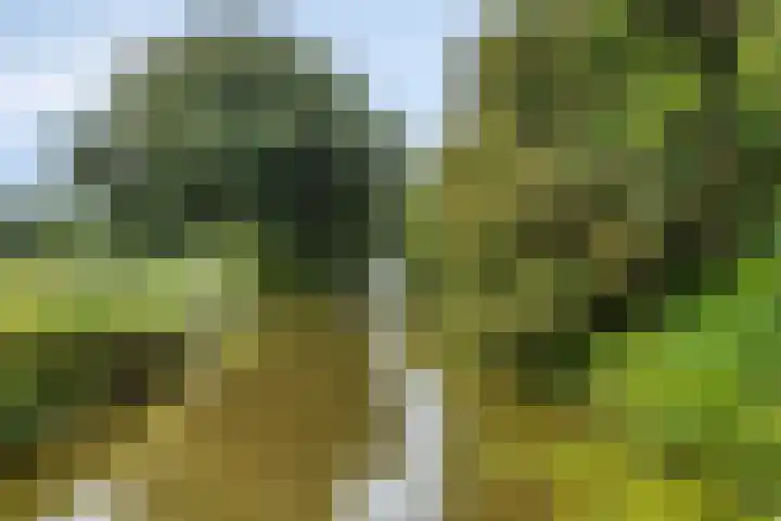 Merijntje Gijzenburg 18 Capelle aan den IJssel thumbnail 41
