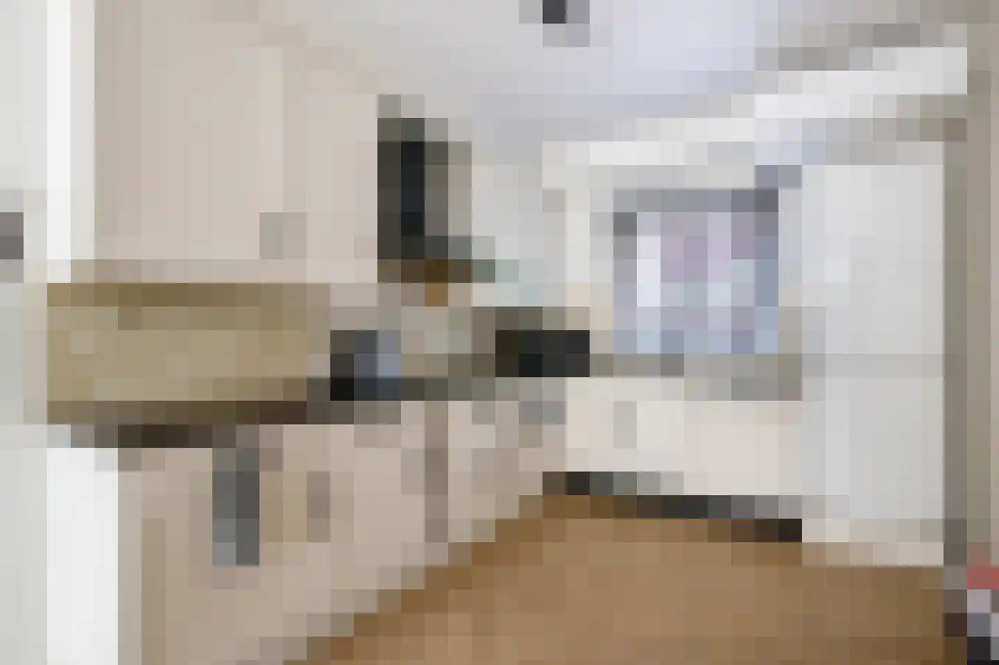 Merijntje Gijzenburg 2 Capelle aan den IJssel thumbnail 15