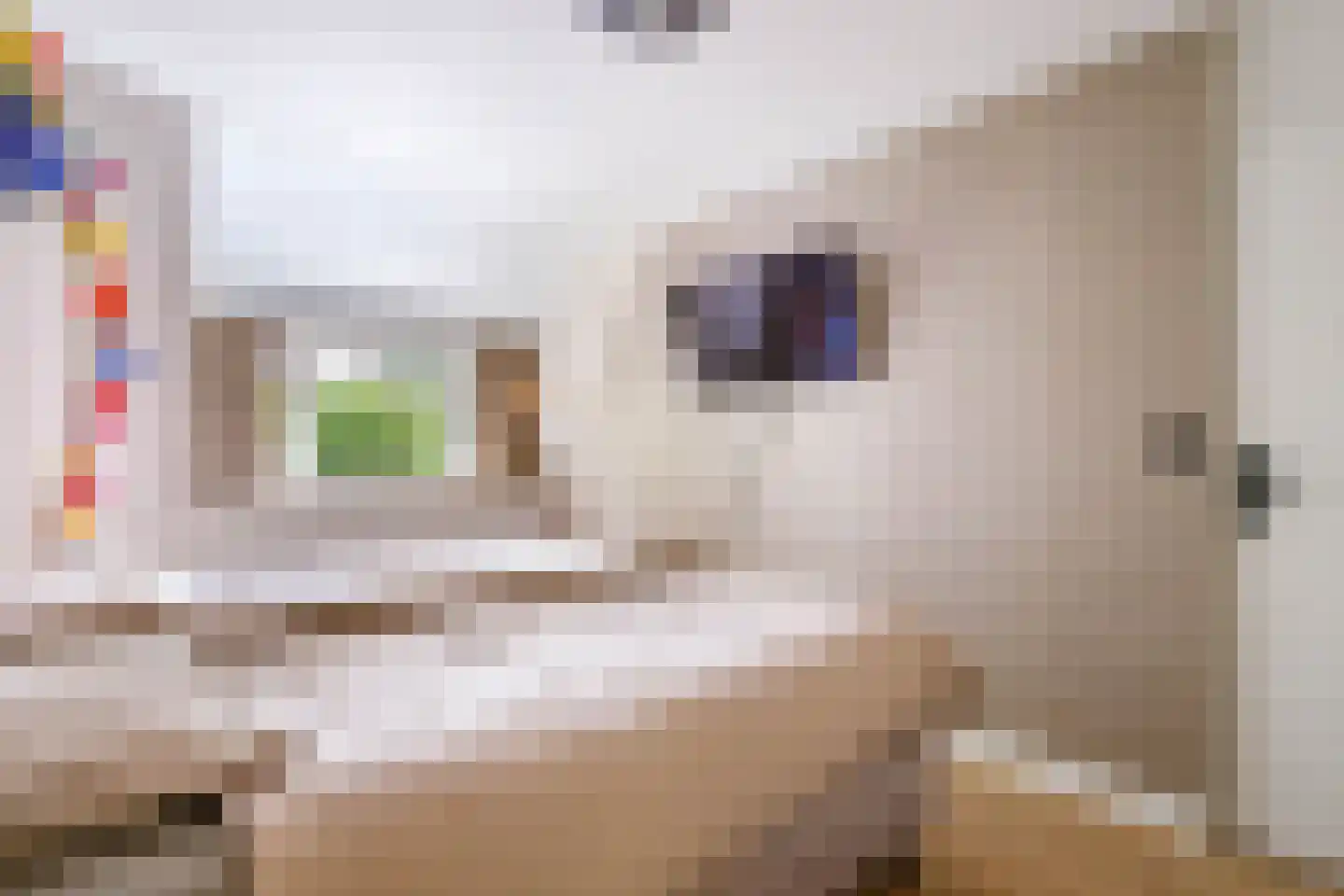 Merijntje Gijzenburg 2 Capelle aan den IJssel thumbnail 20