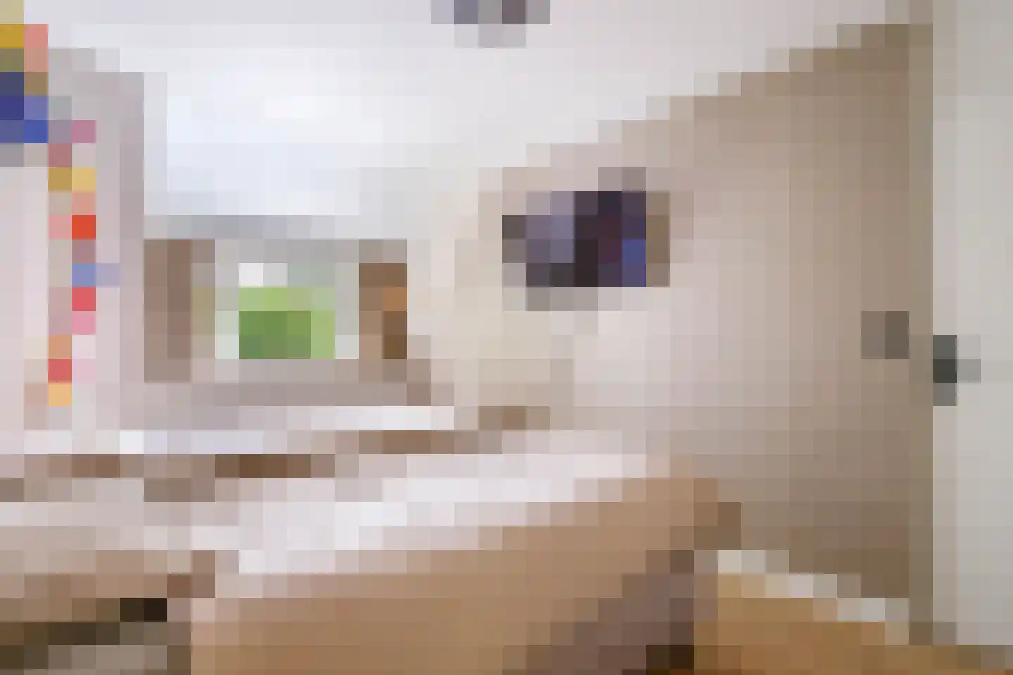 Merijntje Gijzenburg 2 Capelle aan den IJssel thumbnail 20