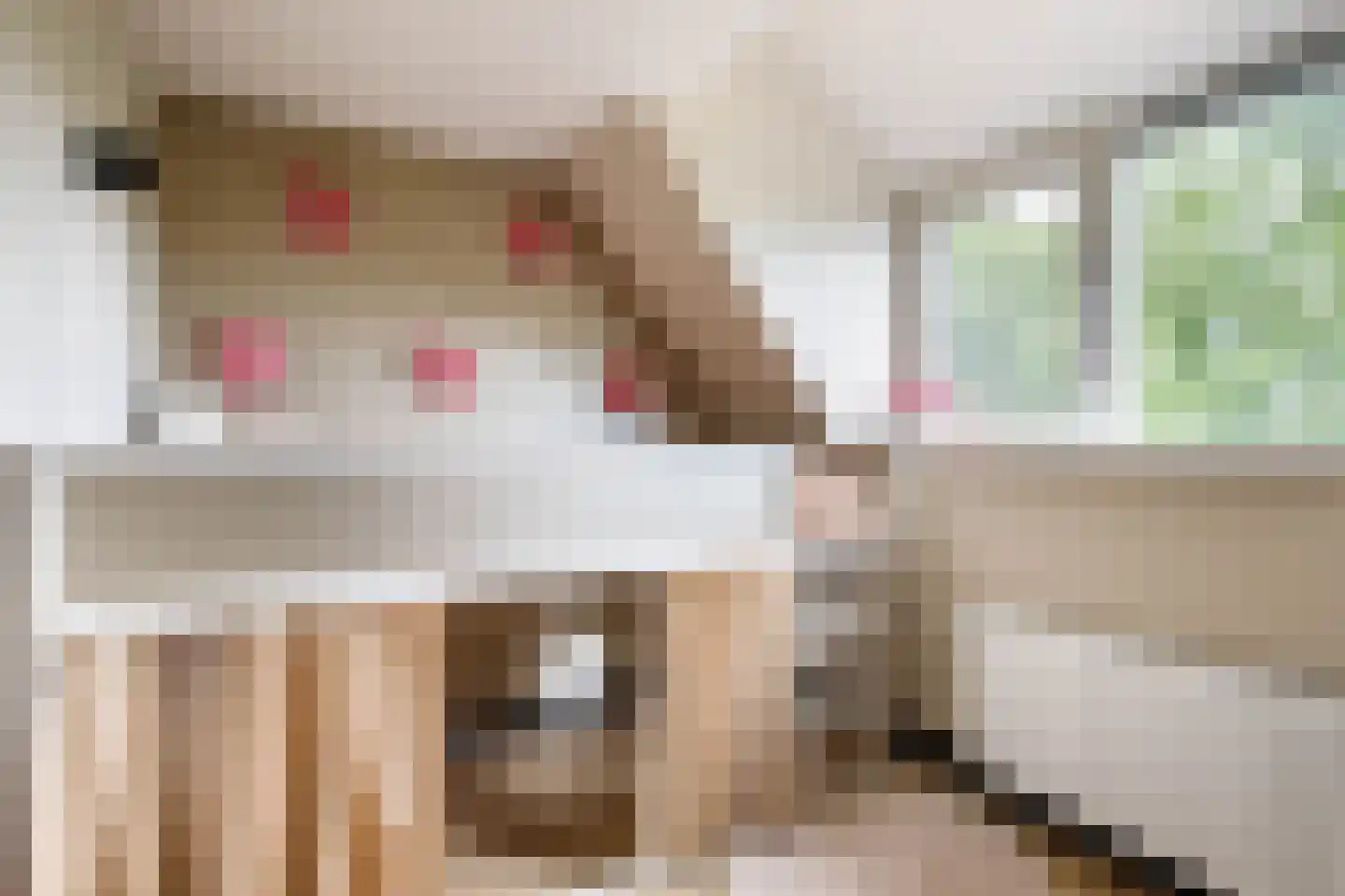 Merijntje Gijzenburg 2 Capelle aan den IJssel thumbnail 27