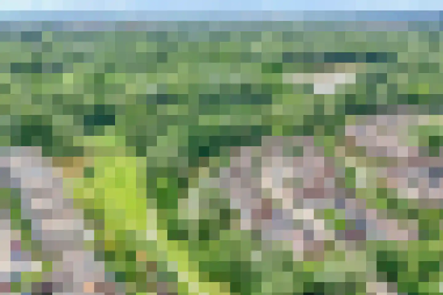 Merijntje Gijzenburg 2 Capelle aan den IJssel thumbnail 37