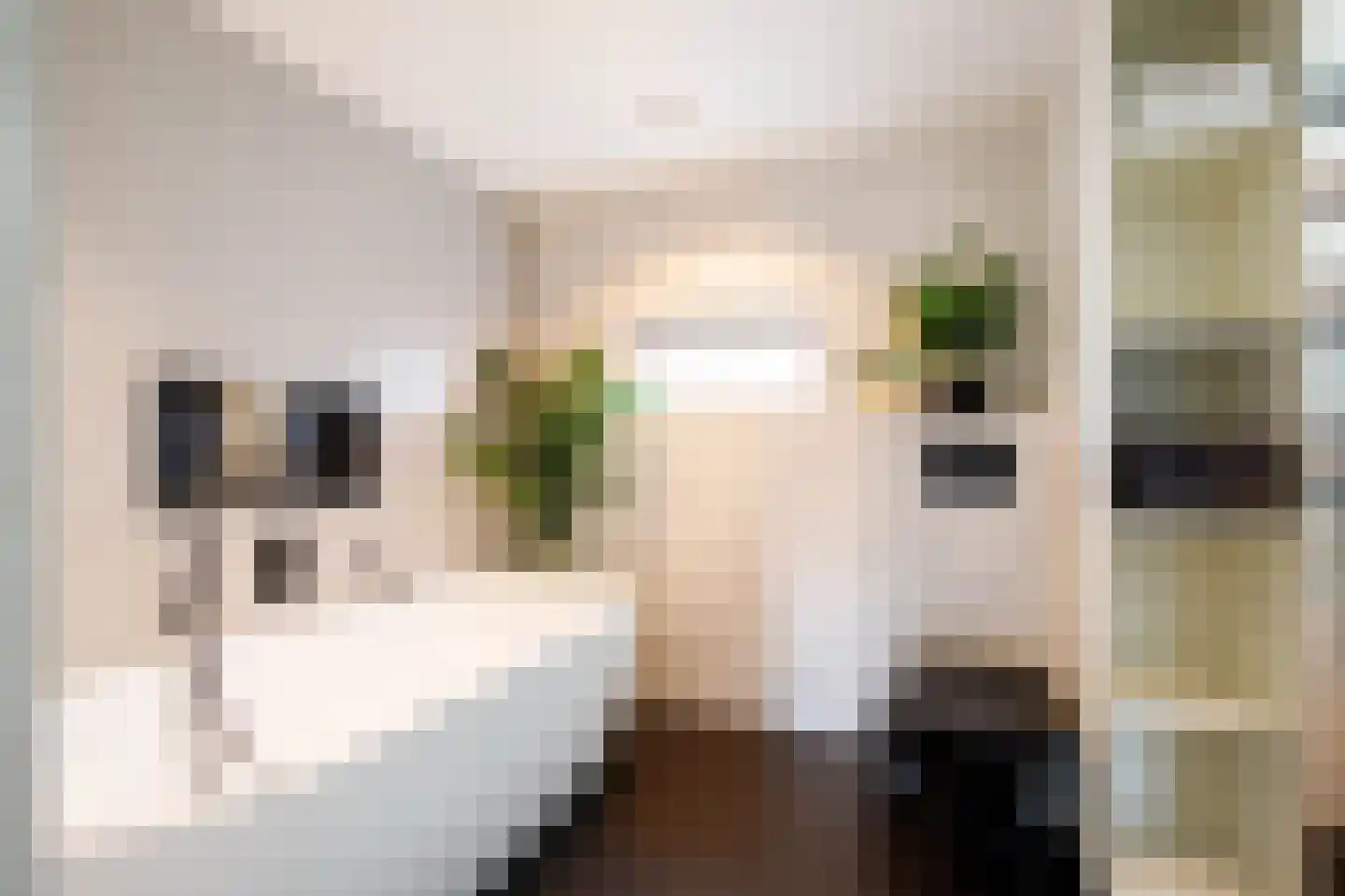 Merijntje Gijzenburg 2 Capelle aan den IJssel thumbnail 4