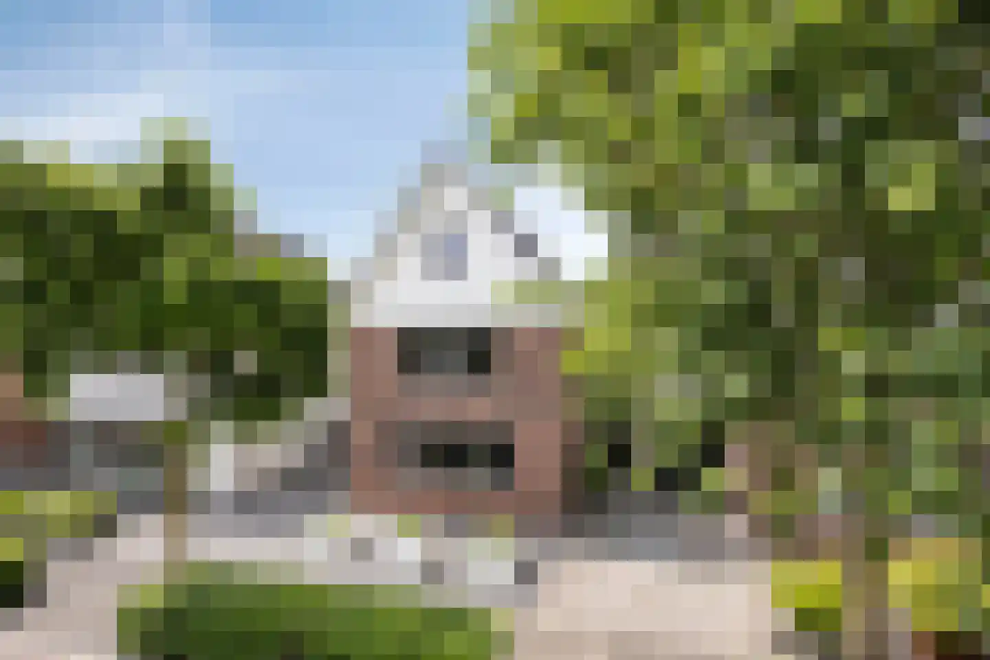 Merijntje Gijzenlaan 26 Bergen op Zoom thumbnail 11
