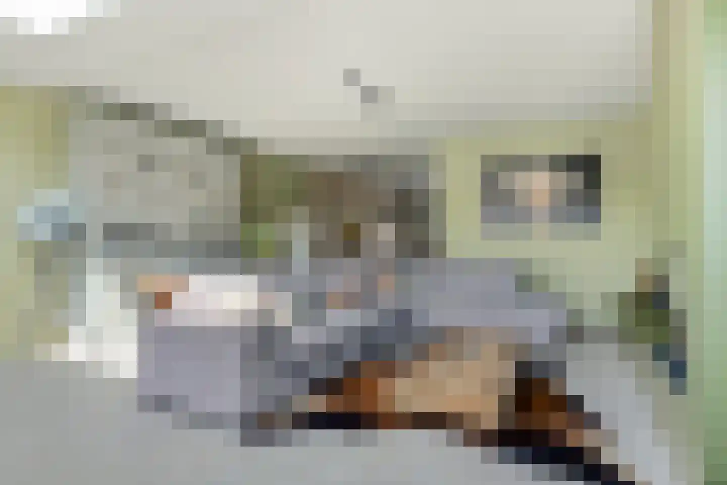 Merijntje Gijzenlaan 26 Bergen op Zoom thumbnail 17
