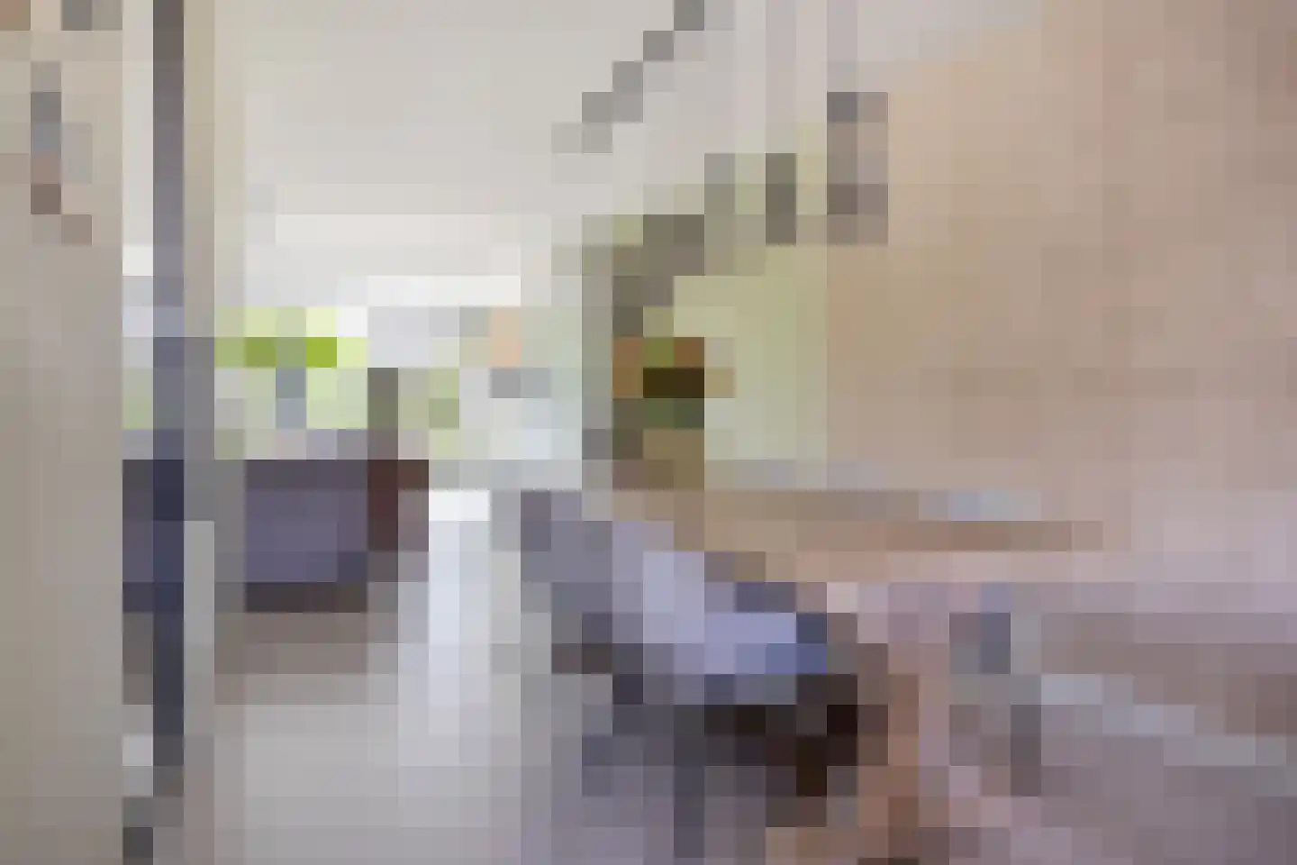 Merijntje Gijzenlaan 26 Bergen op Zoom thumbnail 23