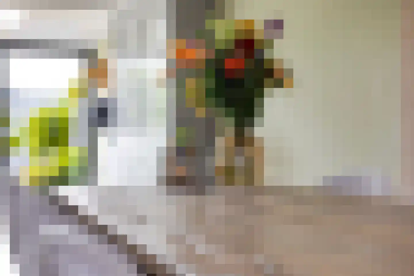 Merijntje Gijzenlaan 26 Bergen op Zoom thumbnail 24