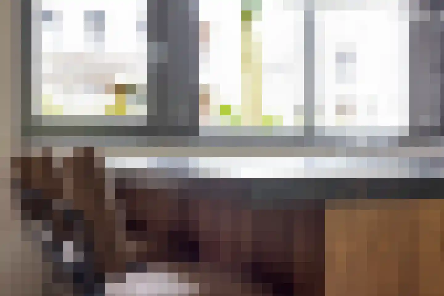 Merijntje Gijzenlaan 26 Bergen op Zoom thumbnail 27