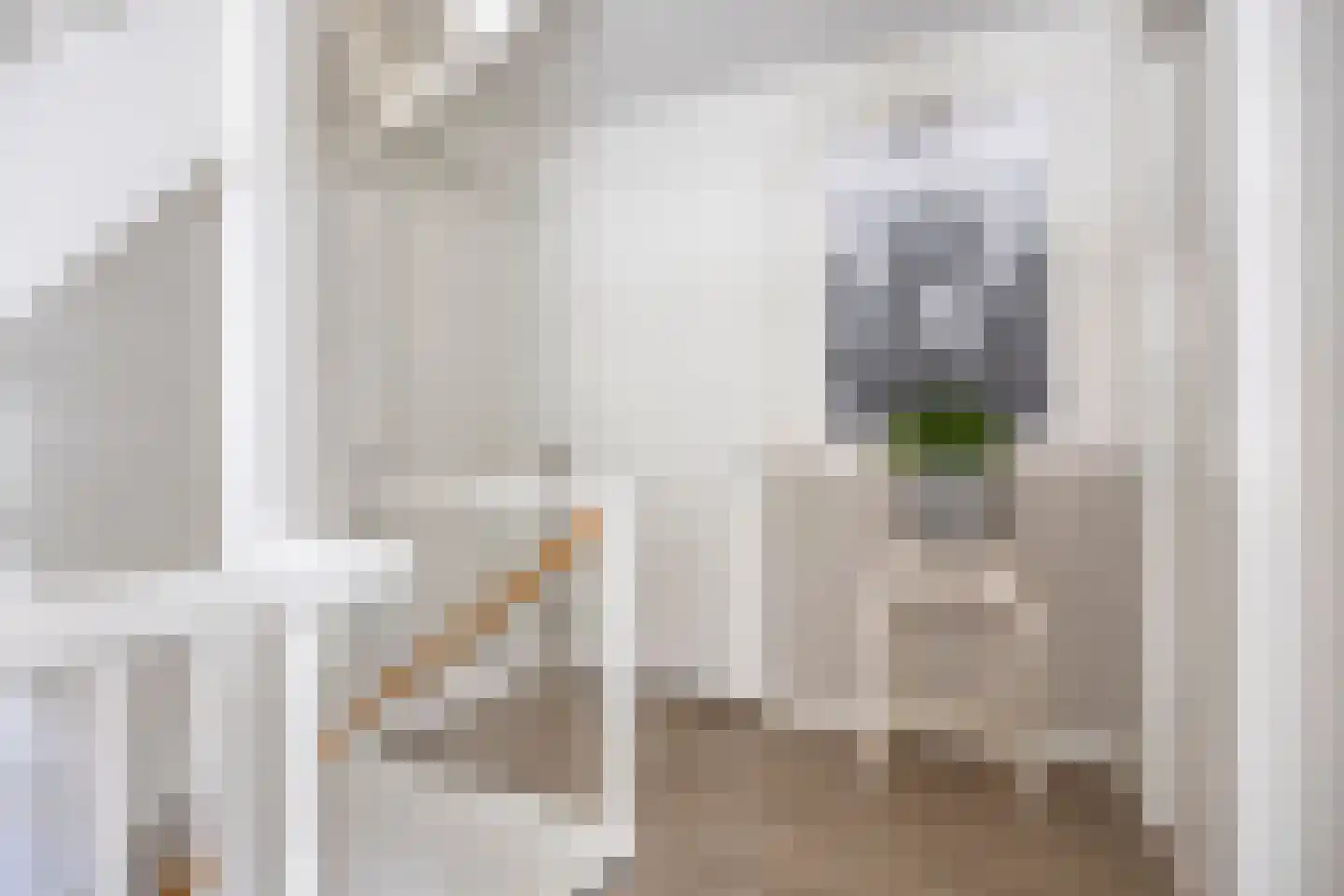 Merijntje Gijzenlaan 26 Bergen op Zoom thumbnail 34