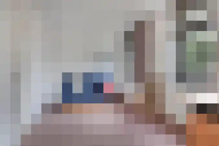 Merijntje Gijzenlaan 27 Bergen op Zoom thumbnail 17