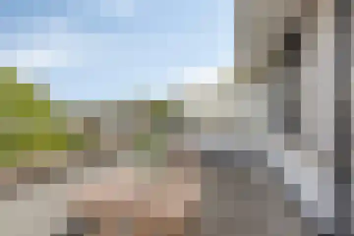 Merijntje Gijzenlaan 27 Bergen op Zoom thumbnail 20