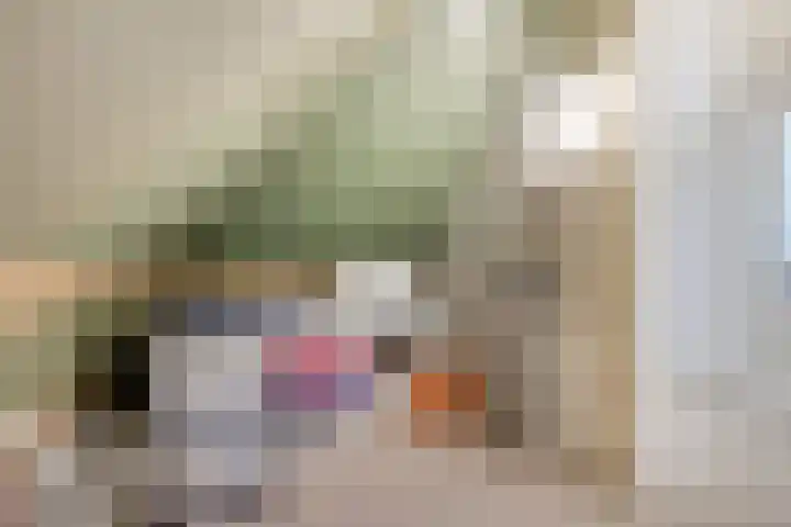 Merijntje Gijzenlaan 27 Bergen op Zoom thumbnail 27