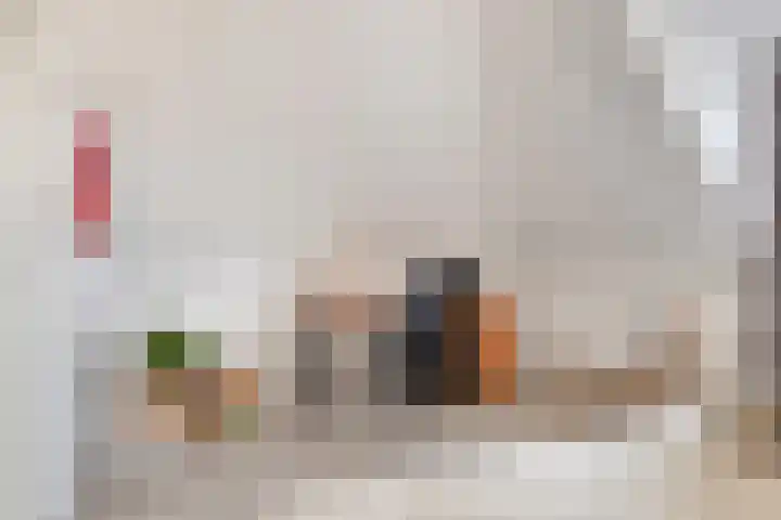 Merijntje Gijzenlaan 27 Bergen op Zoom thumbnail 29