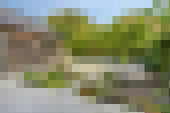 Merijntje Gijzenlaan 27 Bergen op Zoom thumbnail 34